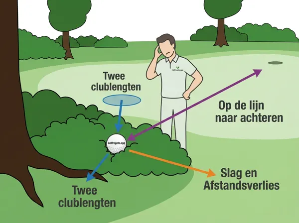Balle injouable (Règle 19)
