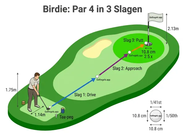 Illustration pour Birdie
